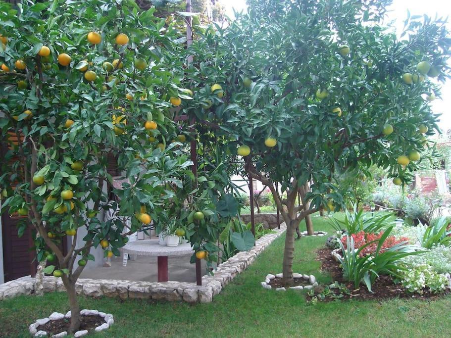 Apartment Mia - Spacious Apartment On 85 M2 With Beautiful Sea View Traù Esterno foto